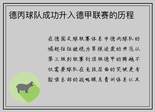 德丙球队成功升入德甲联赛的历程
